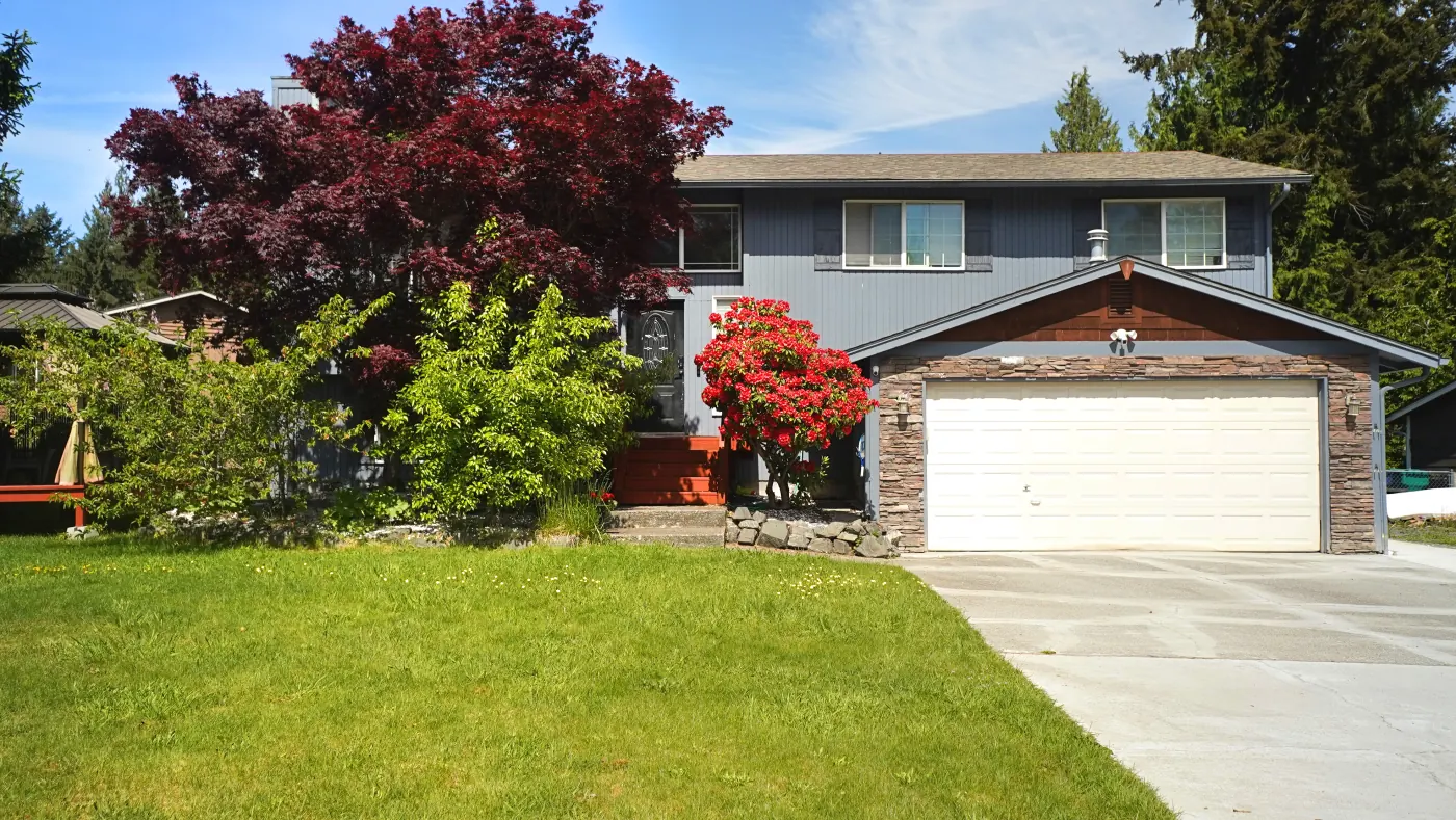 The Lake Stevens AFH home with red Japanese maple, blooming rhododendron, and attached garage