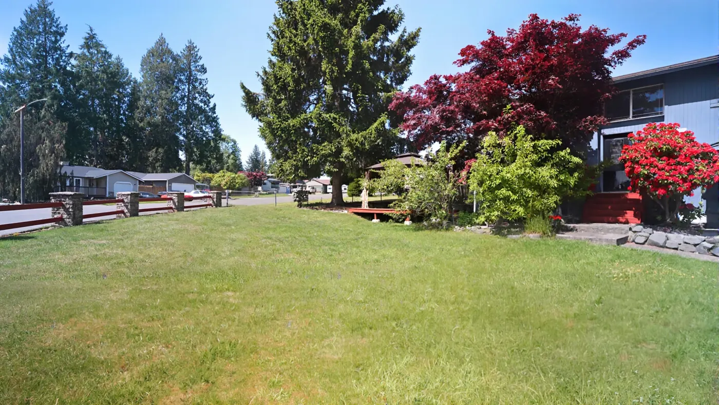 Side garden with conifers and red maple foliage