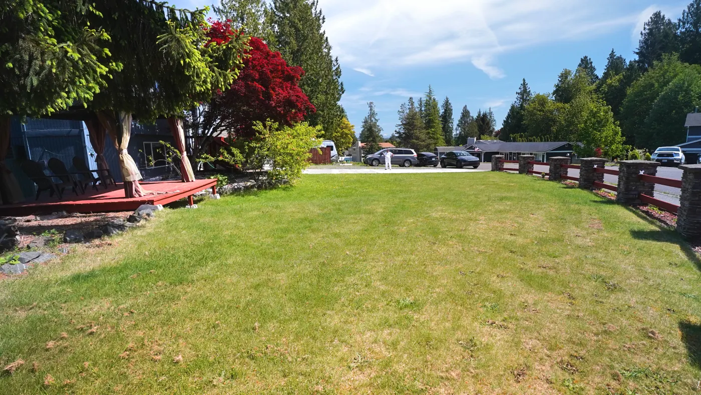 Spacious back yard with green lawn and Pacific Northwest trees