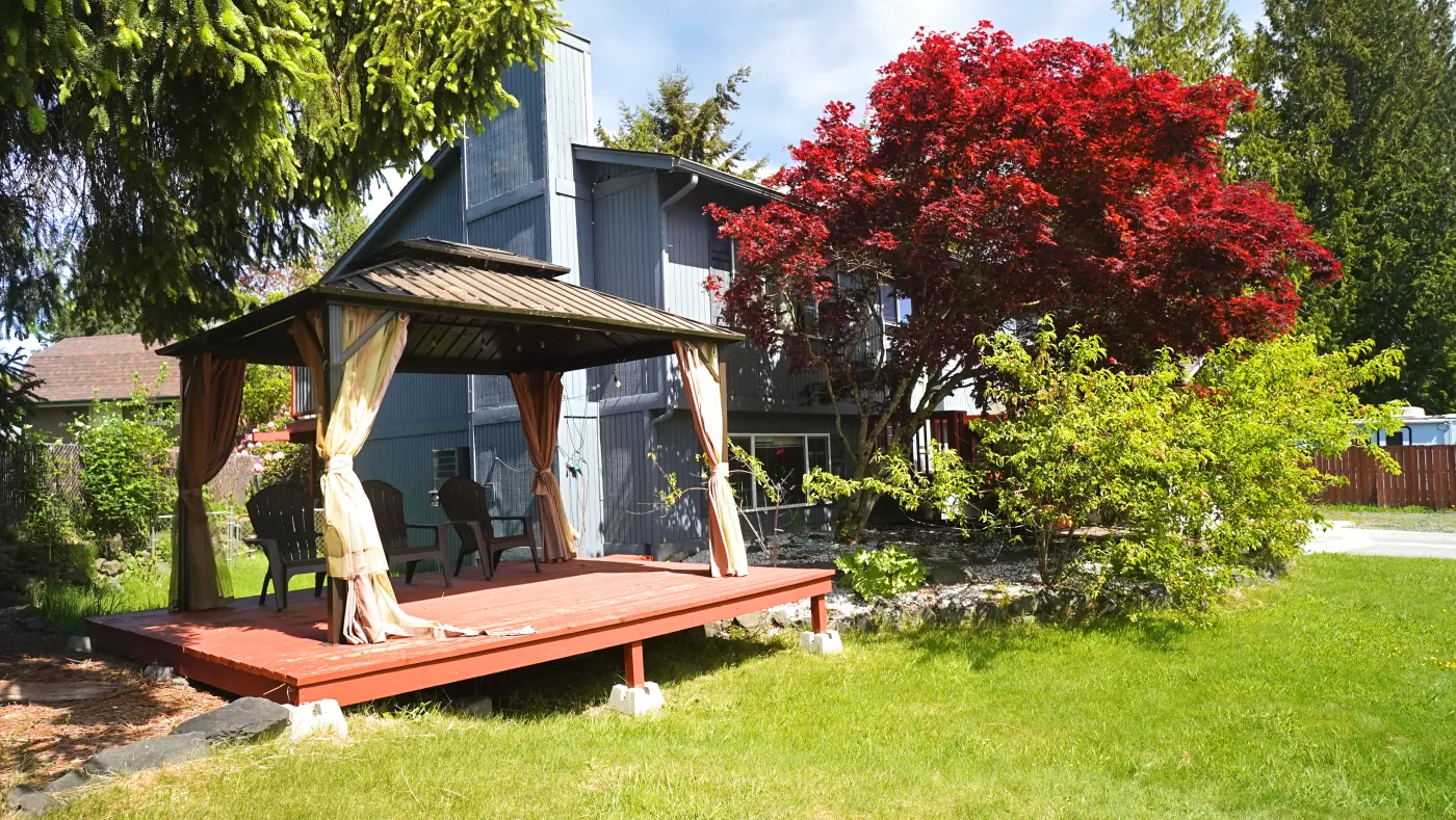 Garden gazebo beside the red Japanese maple