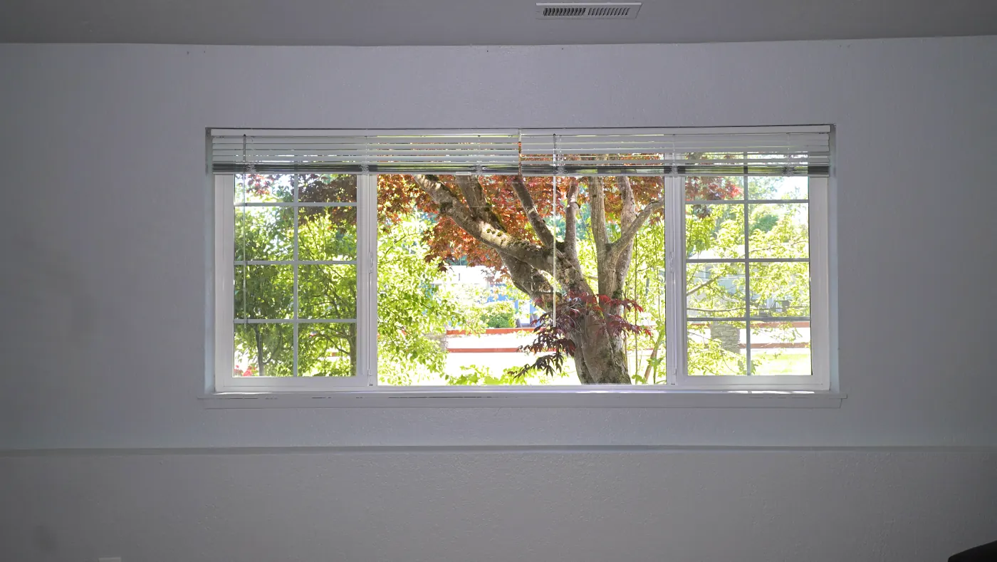 Natural light pouring in through large window framed by a Japanese maple
